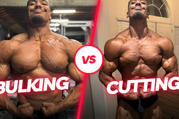 BULKING VS CUTTING