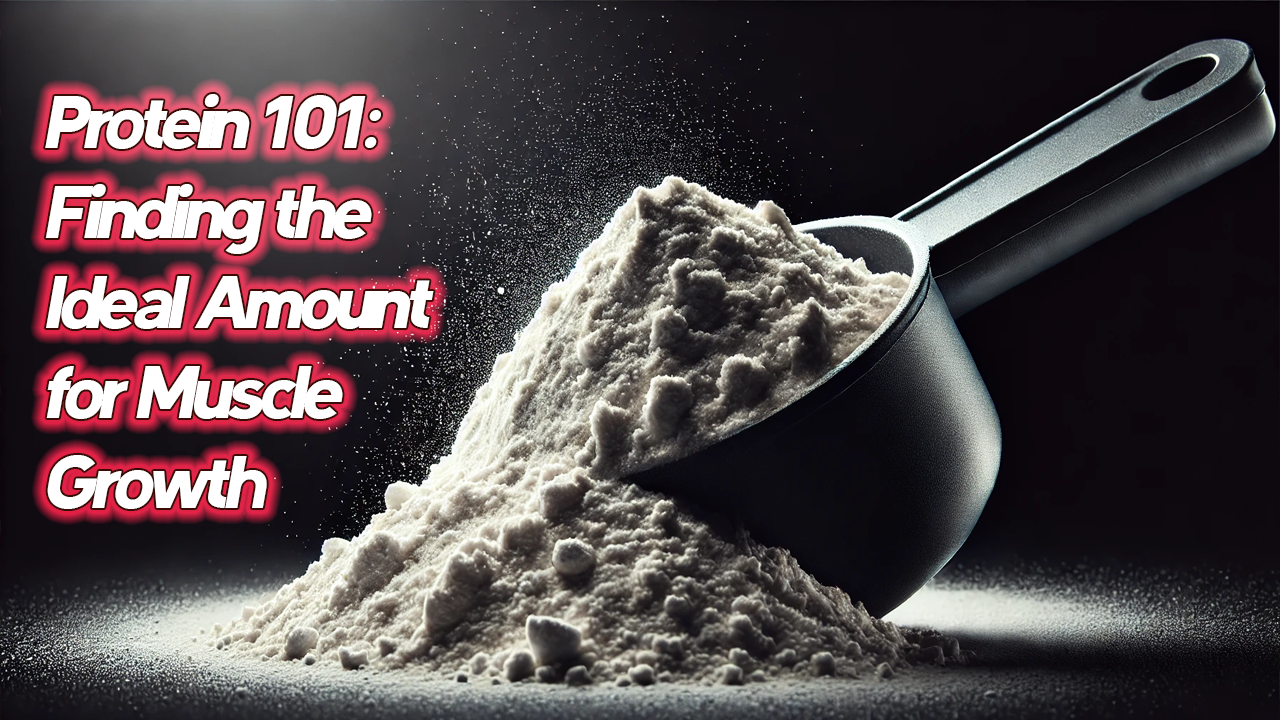 Protein 101 Protein 101: Finding the Ideal Amount for Muscle Growth