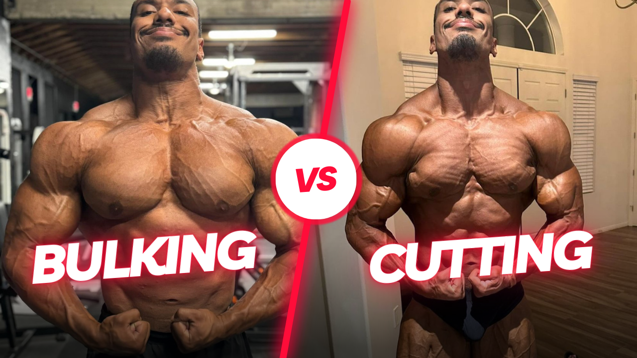 BULKING VS CUTTING